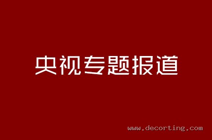 央视专题报道